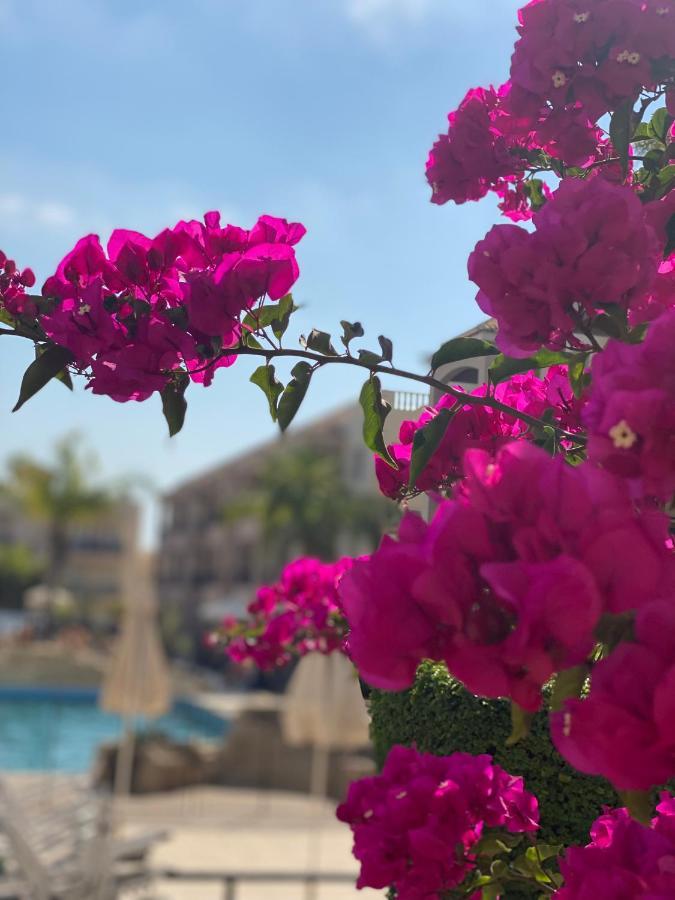 Royal Seacrest А203 Sea View Apartment Paphos Bagian luar foto